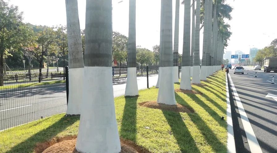 1721012517456308.jpg 8.jpg