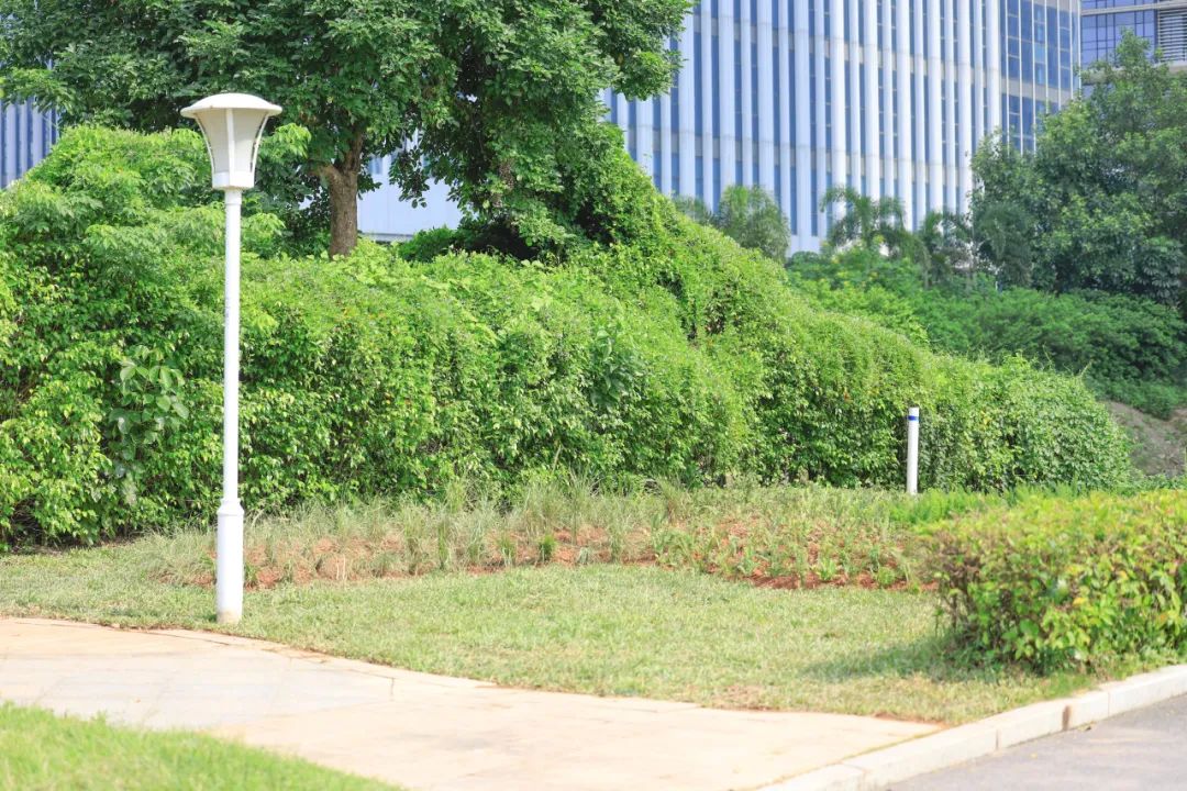 1728897074966076.jpg 31.jpg