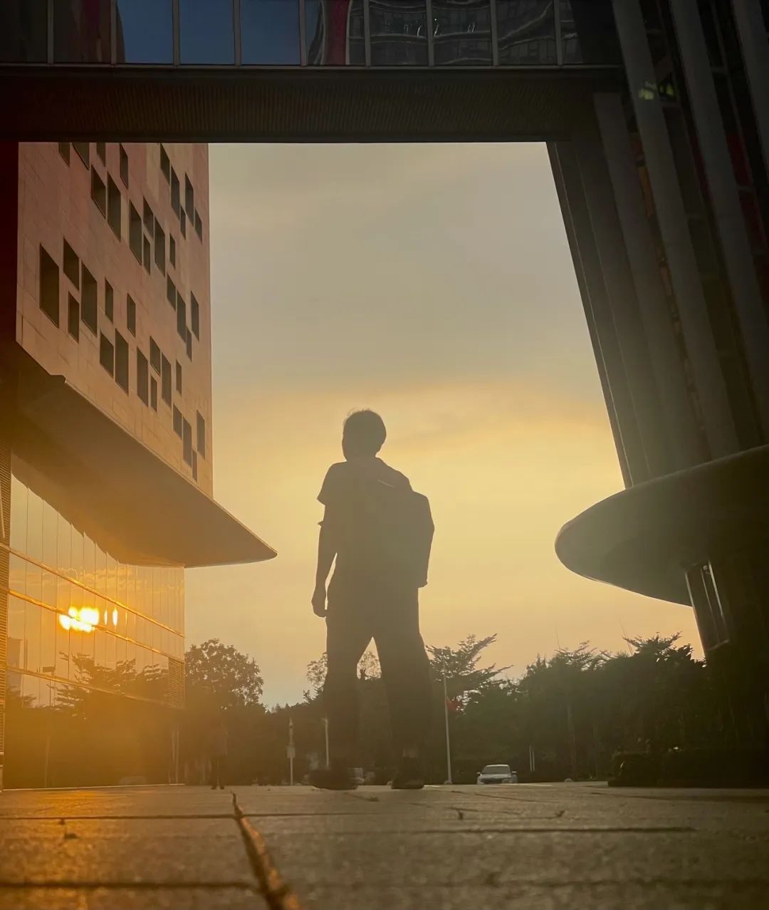 1732179529710399.jpg 58.jpg