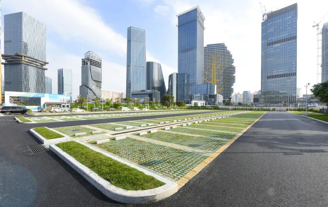 1733800412755746.jpg 1.jpg