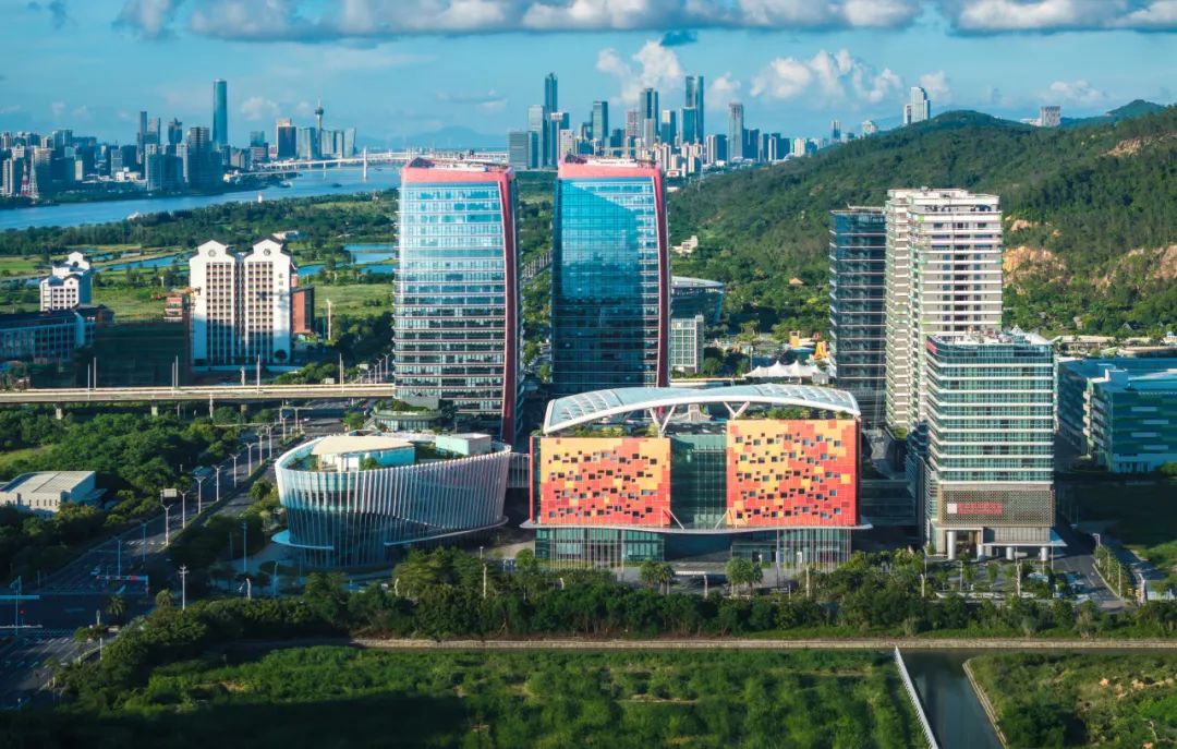 1742874787500982.jpg 2.jpg