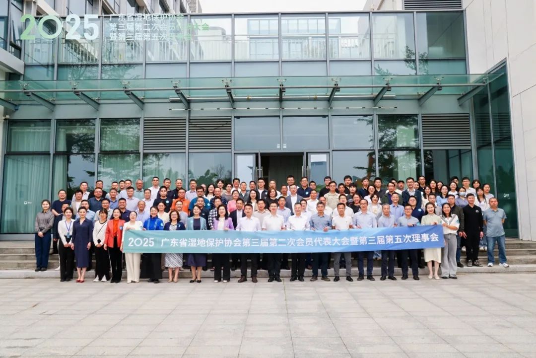 1747194112303583.jpg 2.jpg