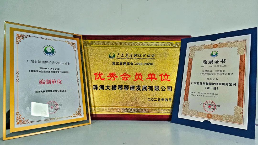 1747194198373593.jpg 9.jpg