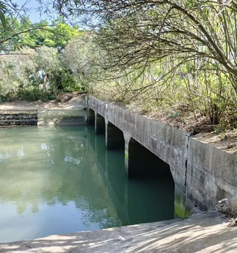 1757575442613465.jpg 7.jpg